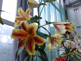 Foto: Dr. Peter Müller